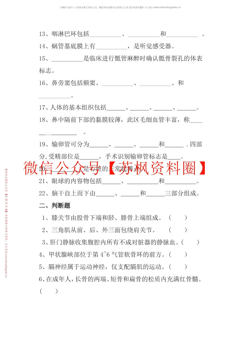 正常人体结构